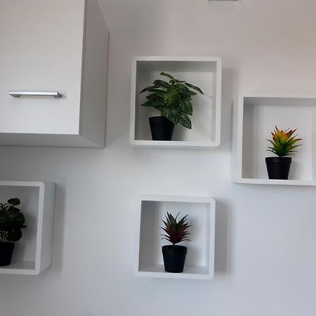 Joli Appartement, Piscine, Jacuzzi Sainte-Suzanne Kültér fotó