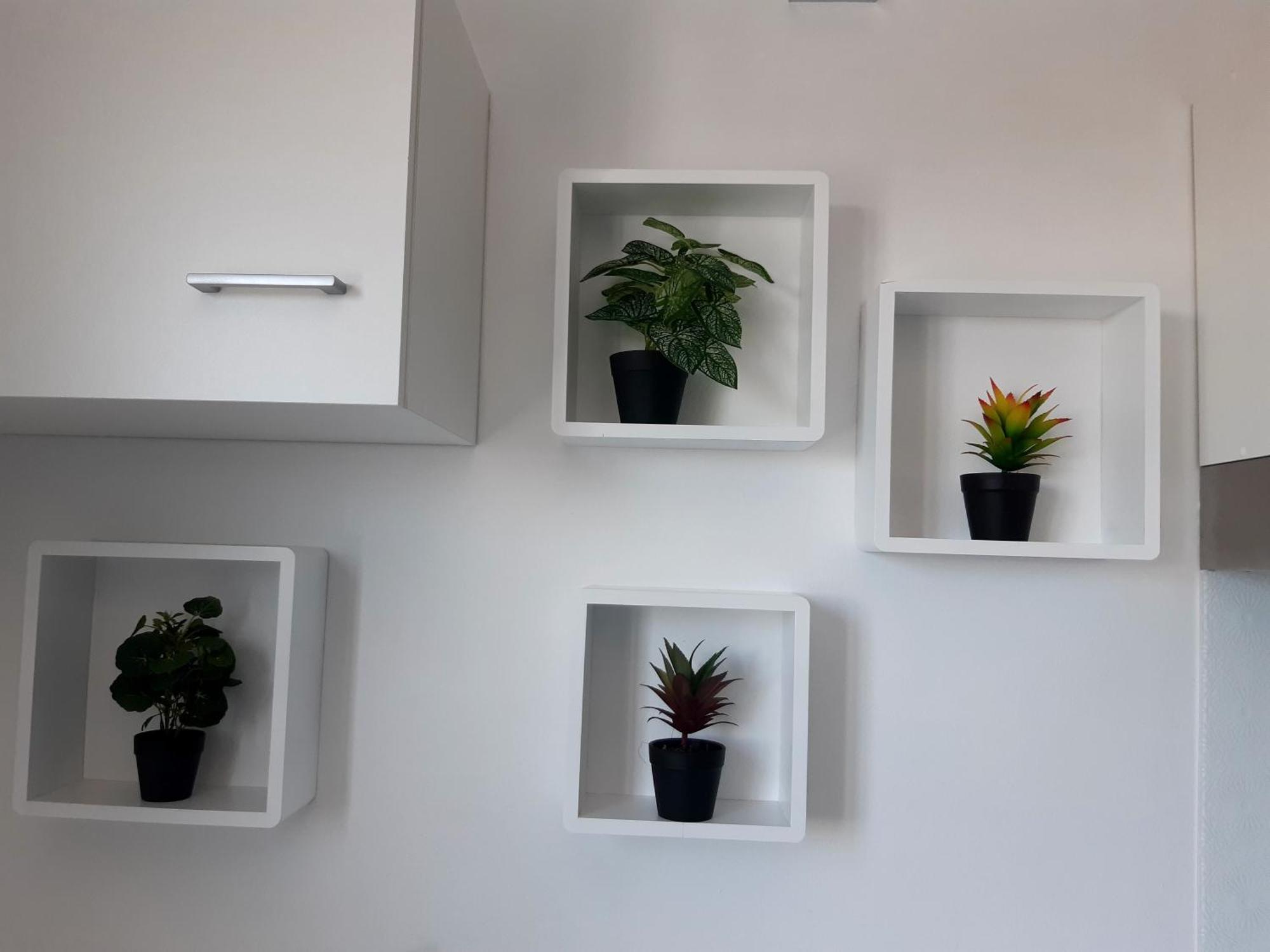 Joli Appartement, Piscine, Jacuzzi Sainte-Suzanne Kültér fotó